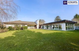 Villen zu kaufen in 2230 Gänserndorf, Bungalow mit Indoor-Pool, Weinkeller & außergewöhnlich großem Grundstück / Eigengrund