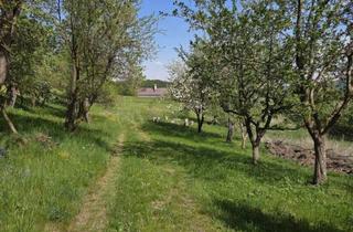 Bauernhäuser zu kaufen in 3623 Elsenreith, Ruhig Gelegener Bauernhof mit Nebengebäuden und Geschütztem Innenhof