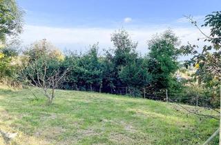 Grundstück zu kaufen in Hochfeldweg, 8010 Graz, Traumgrundstück für ein Einfamiliehaus auf der Ries
