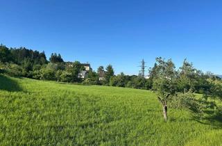Wohnung mieten in Schwendeweg, 6911 Lochau, Wohnen im Grünen zwischen Pfänder und Kaiserstrand