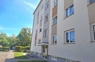 Wohnung kaufen in Burgstallstraße 36, 4523 Neuzeug, Sonnige 4-Zimmer-Wohnung im 1 OG am Waldrand