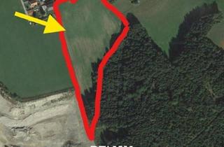 Grundstück zu kaufen in St.veit An Der Glan, Längsee, 9300 Mail, Ebene Ackerfläche (Teilweise Dorfgebiet) + Kleine Waldparzelle