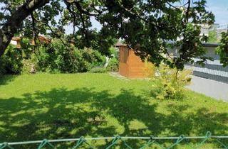 Grundstück zu kaufen in 1110 Wien, „Private Grünruhe in Wien – Kleingartenparzelle mit Bestand, Eklw-Widmung und langfristiger Perspektive“ | ZELLMANN IMMOBILIEN