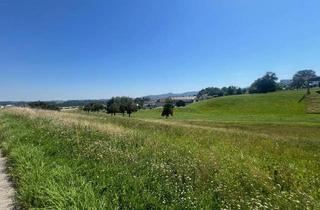 Grundstück zu kaufen in Bründlweg, 4694 Ohlsdorf, Sonniges Eckgrundstück in idealer Größe nähe Gmunden