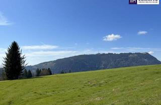 Grundstück zu kaufen in Rabnitzbrücke, 8062 Kumberg, Traumhaftes Baugrundstück in 8062 Rabnitz – sonnige Lage mit herrlichem Ausblick!