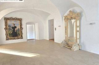 Maisonette mieten in 2432 Schwadorf, Schlossresidenz - eine prachtvolle Stil-Altbauwohnung mit Terrasse und Garten im Schloss - Exklusives Wohnen mit herrschaftlichem Flair