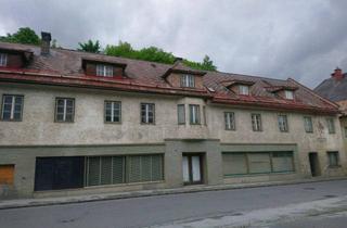 Haus kaufen in Oberer Markt 17, 8933 Sankt Gallen, Haus mit Garten um vielfältige Möglichkeiten zu realisieren