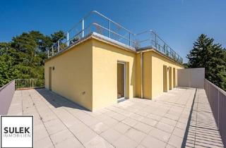 Wohnung kaufen in Kabanenweg, 3040 Neulengbach, Ertrag ab dem ersten Tag: Bereits vermietete 3-Zimmer DG Wohnung mit riesiger Terrasse im Wohnpark Neulengbach