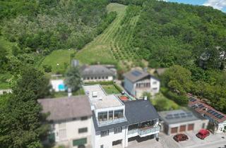 Einfamilienhaus kaufen in Kellergasse 127, 2103 Langenzersdorf, Kellergasse (bergseitig): Traumhaftes Einfamilienhaus mit 873 m² Nutzfläche am Fuße des Bisambergs
