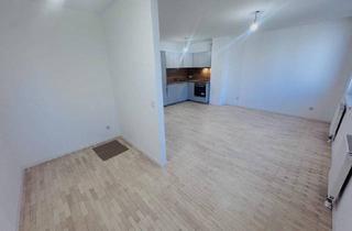Wohnung mieten in Ziegelofengasse, 1050 Wien, Charmante, frisch sanierte 1 - Zimmer-Wohnung, inkl. Heizungskosten, 1050 Wien