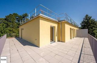Wohnung kaufen in 3040 Neulengbach, Ertrag ab dem ersten Tag: Bereits vermietete 3-Zimmer DG Wohnung mit riesiger Terrasse im Wohnpark Neulengbach