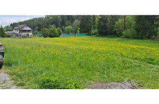 in Kremstalstraße 11, 3623 Kottes, Grundstück 8600m2 in Kottes mietbar
