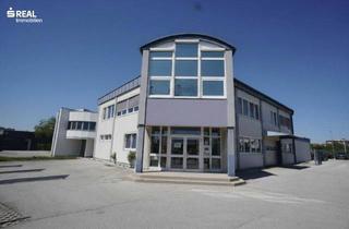 Gewerbeimmobilie kaufen in 2351 Wiener Neudorf, Gewerbeobjekt mit Büroflächen, Lagerhalle und PKW Stellplätzen