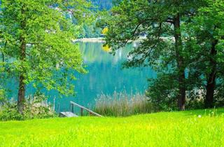 Grundstück zu kaufen in 9570 Alt-Ossiach, Gigantische SEELIEGENSCHAFT in absoluter Ruhelage am OSSIACHERSEE (Freizeitwohnsitz)