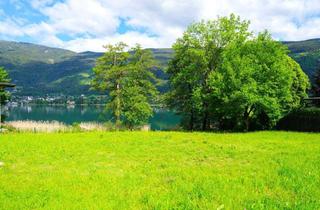 Grundstück zu kaufen in 9570 Alt-Ossiach, Gigantische SEELIEGENSCHAFT in absoluter Ruhelage am OSSIACHERSEE (Freizeitwohnsitz)