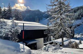 Haus kaufen in Zauchensee-Strims, 5541 Altenmarkt im Pongau, Ein Juwel in den Alpen (Zweitwohnsitz)