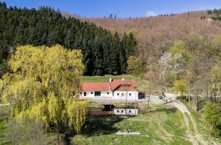 Haus mieten in 3386 Hafnerbach, Forsthaus im Dunkelsteiner Wald