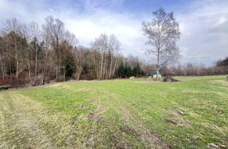 Grundstück zu kaufen in 4782 Sankt Florian am Inn, Landwirtschaftliche Nutzfläche - mögliches Baugrundstück