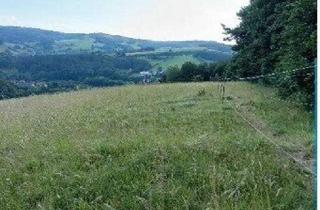 Grundstück zu kaufen in 3051 Gottleitsberg, Traumhaftes Grundstück nahe Neulengbach/Altlengbach