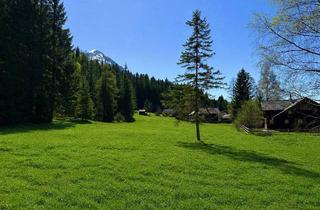 Grundstück zu kaufen in 8982 Zlem, 3 Baugrundstücke in Wörschachwald/Zlem! Ein Leben im Paradies!