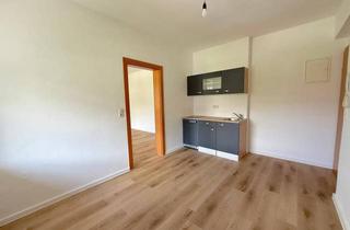 Wohnung mieten in 8605 Kapfenberg, Neu renovierte Singlewohnung in Kapfenberg zu vergeben!