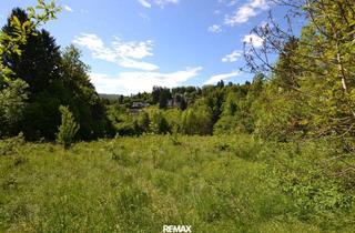 Grundstück zu kaufen in 3032 Eichgraben, Großzügiger Baugrund in idyllischer Wohnlage von Eichgraben