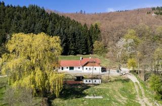 Haus mieten in 3386 Hafnerbach, Forsthaus im Dunkelsteiner Wald