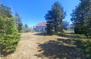 Einfamilienhaus kaufen in 2603 Felixdorf, Felixdorf: Einfamilienhaus mit Keller, Garage und Carport auf einem sehr großen (teilbaren) Grundstück in toller Lage