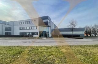 Büro zu mieten in Im Südpark, 4030 Linz, Flexible Gewerbeliegenschaft mit Hallen- und Büroflächen im Südpark Linz zu vermieten!