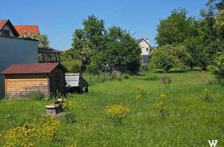 Grundstück zu kaufen in 2102 Bisamberg, Zentrales Grundstück in Bisamberg | Nähe Ortszentrum | ca. 1033 m2 | Bauklasse I+II | gute Bebaubarkeit