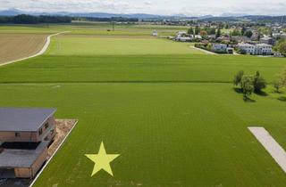 Grundstück zu kaufen in 5223 Pfaffstätt, Baugrundstück in 5223 Pfaffstätt-Kuglberg - Ruhig Gelegen mit Südlichem Panoramablick