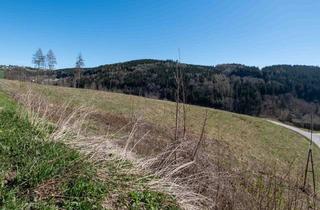 Immobilie kaufen in 4202 Kirchschlag bei Linz, Kirchschlag bei Linz: Bauernhof mit 2,5 Ha Land, Garten & Traumhaftem Bergblick in Kirchschlag bei Linz!