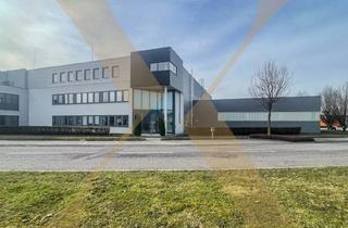 Lager mieten in Im Südpark, 4030 Linz, Flexible Gewerbeliegenschaft mit Hallen- und Büroflächen im Südpark Linz zu Vermieten!