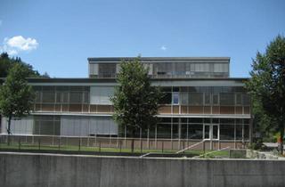 Wohnung mieten in 6800 Feldkirch, Neuere, hübsche Wohnung