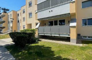 Wohnung mieten in 2362 Biedermannsdorf, Charmante 2-Zimmer-Wohnung mit großer Loggia in Grünruhelage nahe Wien