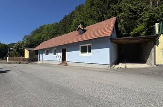 Einfamilienhaus kaufen in 2831 Warth, Wohnen am Land, wo die Ruhe zuhause ist