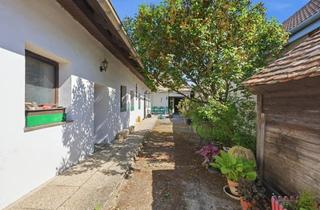 Bauernhäuser zu kaufen in 2022 Immendorf, Renovierungsbedürftiges Bauernhaus mit idyllischem Garten in Schalladorf