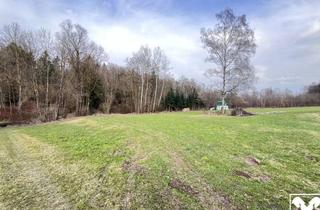 Grundstück zu kaufen in 4782 Sankt Florian am Inn, Landwirtschaftliche Nutzfläche - Mögliches Baugrundstück