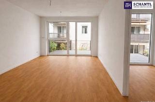 Wohnung kaufen in Kirchenplatz, 2301 Groß-Enzersdorf, Ideale 2 Zimmer Wohnung als renditestarkes Investment mit Potenzial!