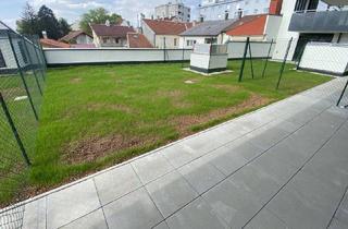Wohnung mieten in 2100 Korneuburg, Helle, neuwertige 2 Zimmer Wohnung mit einem großen Gartenanteil und Terrasse - zentrumsnah