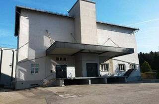Lager mieten in Bahnhofstraße, 6922 Wolfurt, Wolfurt – Lagerfläche im KG mit ca. 69 m²