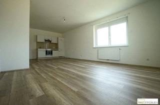 Wohnung mieten in 2100 Korneuburg, PROVISIONSFREI - 2 Zimmer Wohnung inkl. Küche / Gesamtmiete: 875,-- € inkl. HEIZUNG/WARMWASSER