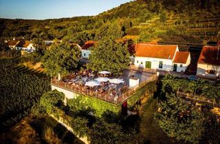Gewerbeimmobilie kaufen in Am Heiligenstein 33, 3561 Zöbing, Weinkeller / Gastronomie / Eventlocation am Heiligenstein mit 5000m2 Grund