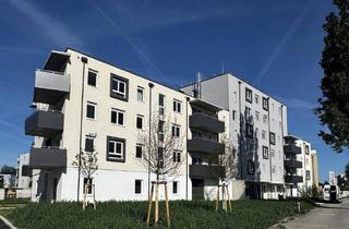 Wohnung mieten in Stadionstraße, 2700 Wiener Neustadt, ERSTBEZUG in Wiener Neustadt – charmante 3-Zimmer-Wohnung mit Balkon im „ein viertel grün“