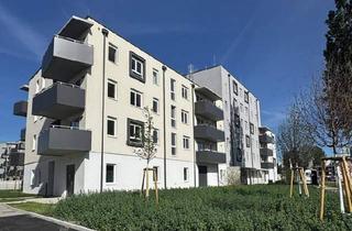 Wohnung mieten in 2700 Wiener Neustadt, ERSTBEZUG im „ein viertel grün“ in Wiener Neustadt – 3-Zimmer-Wohnung mit Balkon und Wohlfühlcharakter