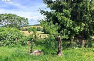 Bauernhäuser zu kaufen in 8505 Sankt Nikolai im Sausal, Bauernhof - Großes Anwesen mit schöner Ackerfläche, Wald und Wiese in sonniger Ruhelage