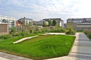 Wohnung mieten in Kremser Landstraße 24-26, 3100 Sankt Pölten, Wohnen im Zentrum von St. Pölten - Erdgeschosswohnung mit 4 Zimmern und Terrasse!