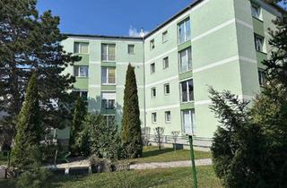Wohnung kaufen in 2490 Ebenfurth, Ebenfurth – Startwohnung für Bastler !