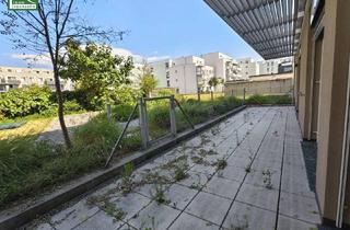 Wohnung mieten in Kremser Landstraße 24, 3100 Sankt Pölten, Ruhige 4-Zimmer-Wohnung mit hochwertiger Ausstattung inklusive Einbauküche in unschlagbarer Lage!
