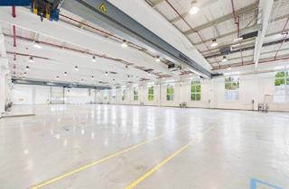 Büro zu mieten in 3830 Waidhofen an der Thaya, Schlüsselfertige Gewerbeliegenschaft · 9.761 m² · € 3,00/m² · Sofortbezug